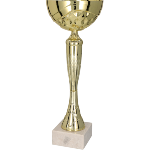 Trofeu Metal Auriu 9059