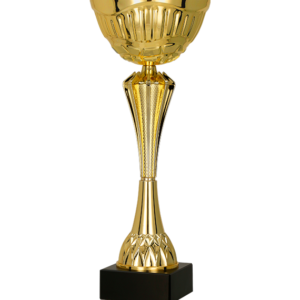 Trofeu Metal Auriu 8348