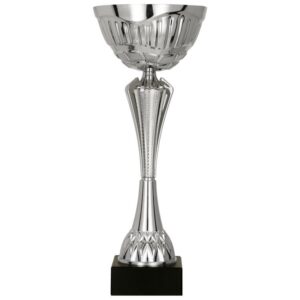 Trofeu Metal Argintiu 8349