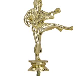 Statueta aurie karate plastic F10/G