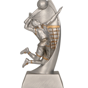 Figurina personalizata RP2005