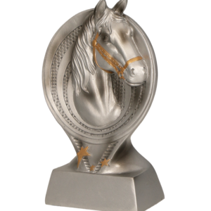 Figurina personalizata RS1501