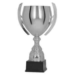 Cupa personalizata argintie din metal